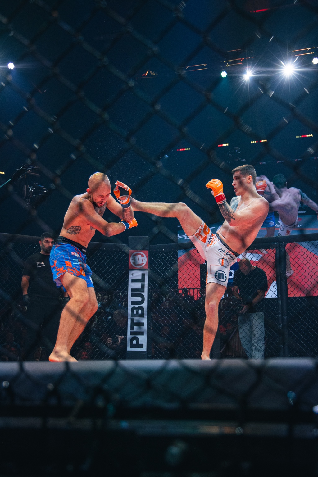David tijdens een MMA-wedstrijd